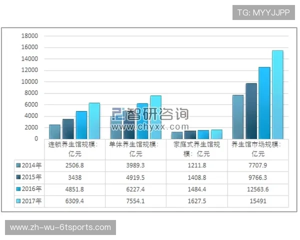 法甲外援2024年市场趋势及发展前景综合报告