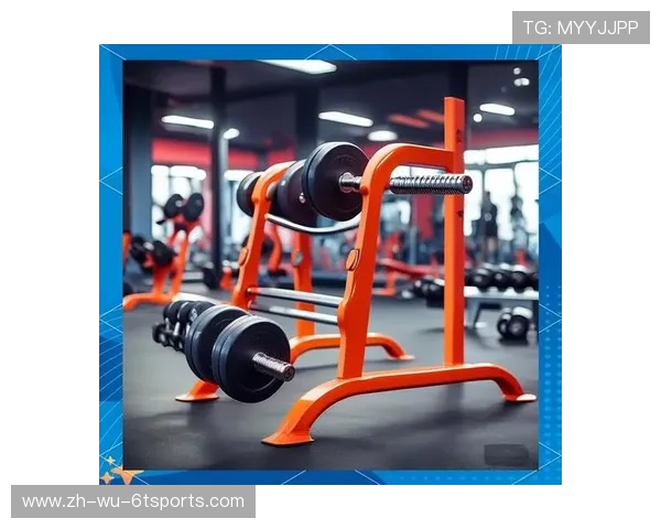 高性价比实用健身器材清单解锁全维度塑形方案